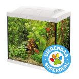 SuperFish aquarium Start 30 Tropical kit wit-D.jpg